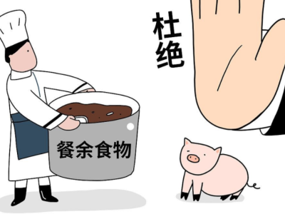 餐厨垃圾